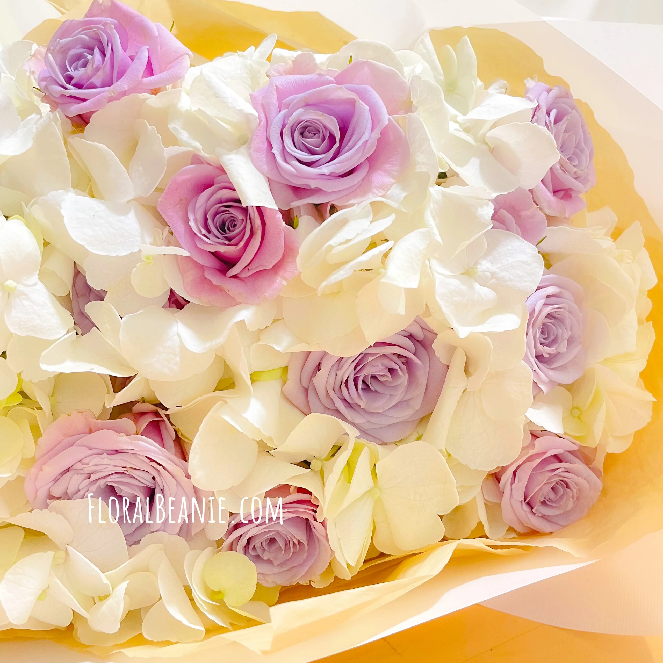 Anniversary White Hydrangea with Purple Rose Bouquet 2 Valentine's Day White Hydrangea with Purple Rose Bouquet