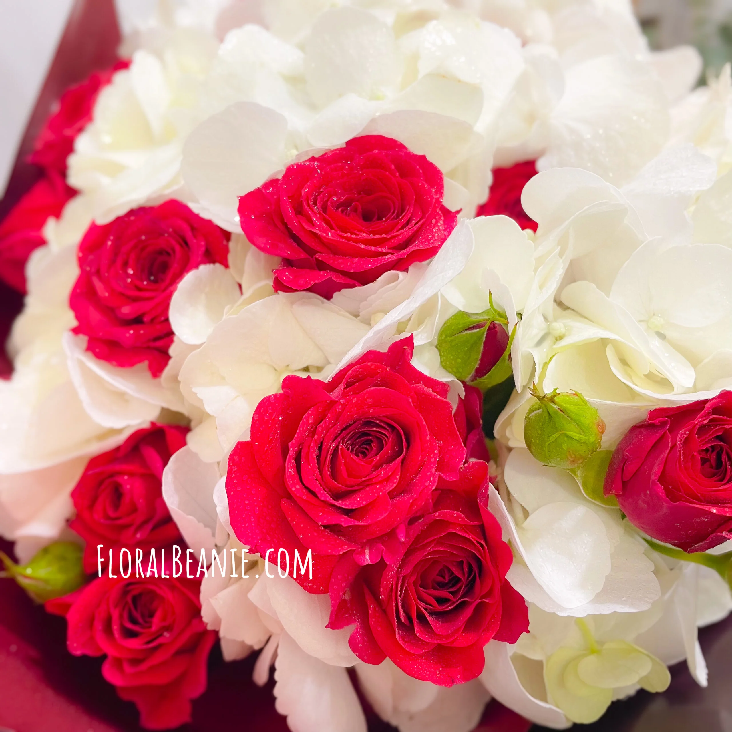 Valentine's Day White Hydrangea with Red Rose Bouquet