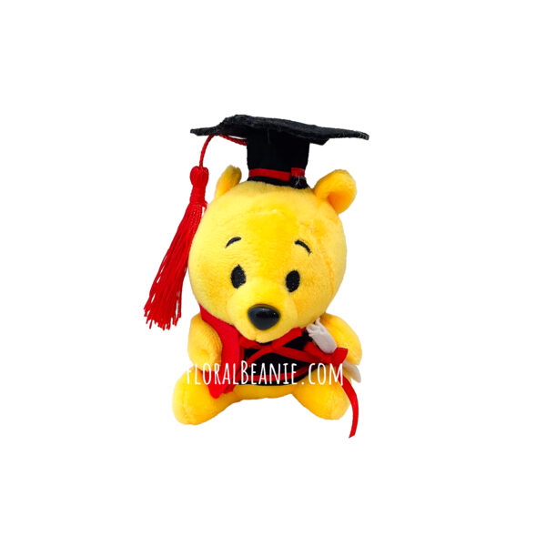 Winnie the Pooh Graduation Bear