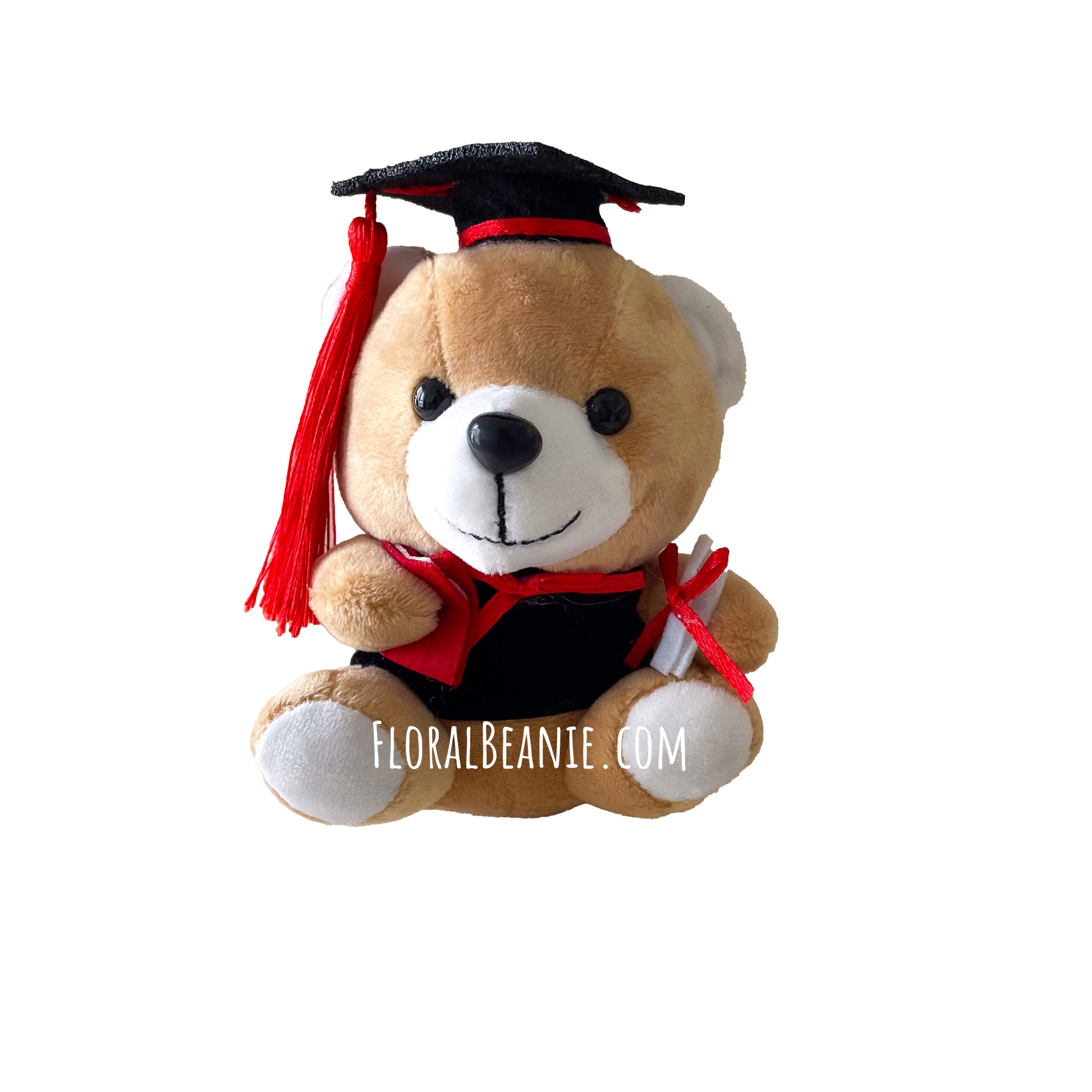 Classic Graduation Bear