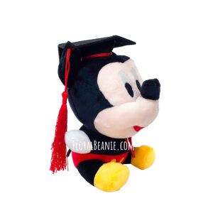 Micky Mouse Graduation Bear