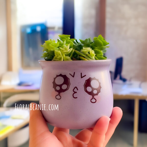 Succulent in Cute Crying Pot