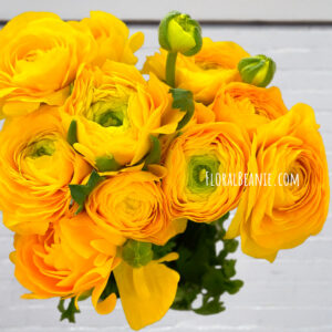 Yellow Ranunculus Bouquet Singapore