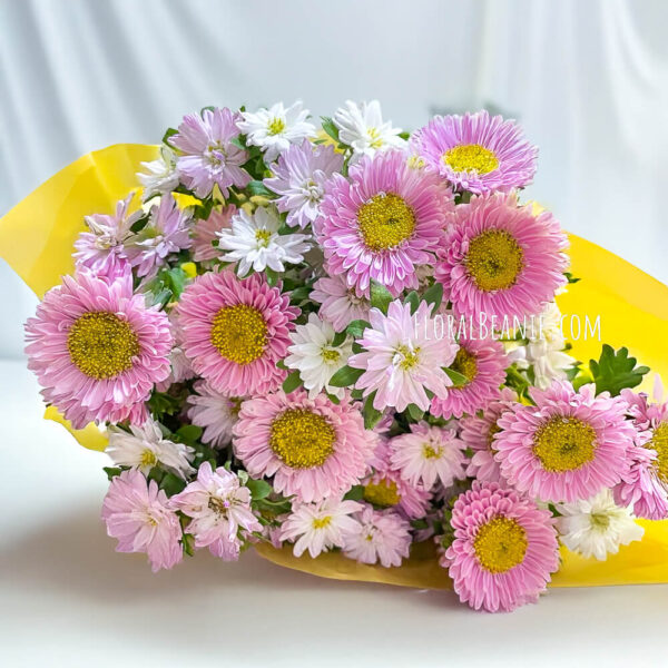 Aster Bouquet