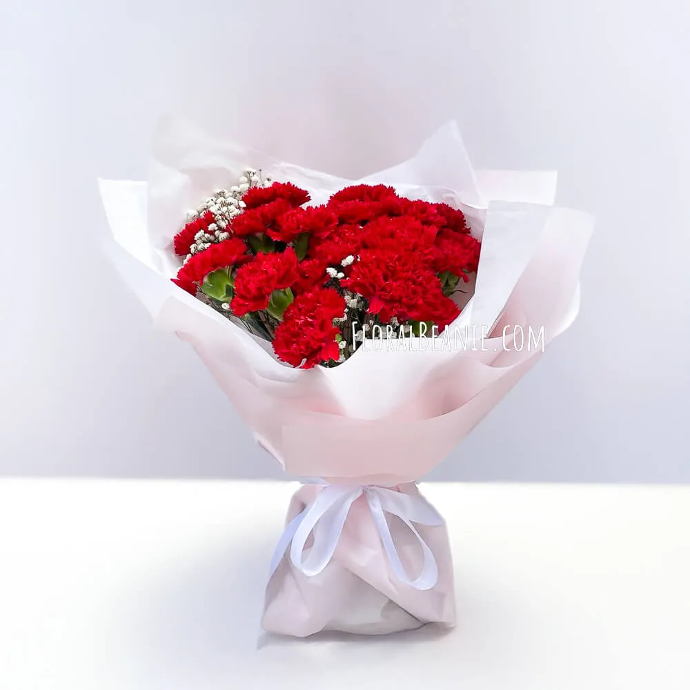 Red Carnation Bouquet 1 Red Carnation Bouquet